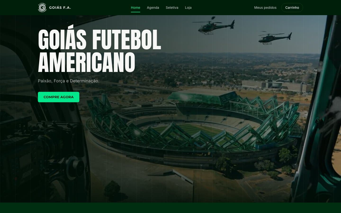 Site Goiás F.A.